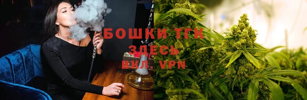 амф Алексин