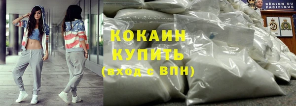 прущие грибы Слюдянка
