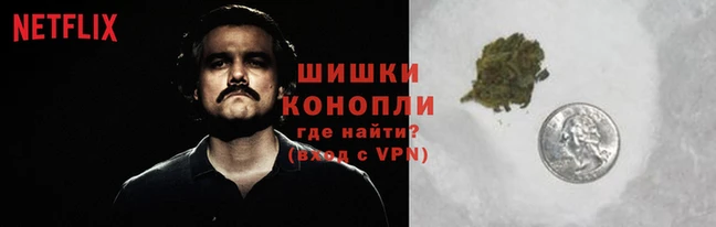 кокс Алзамай