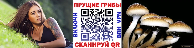 Псилоцибиновые грибы ЛСД  Воткинск 